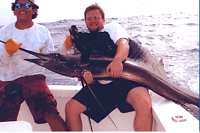 Sailfish Happy